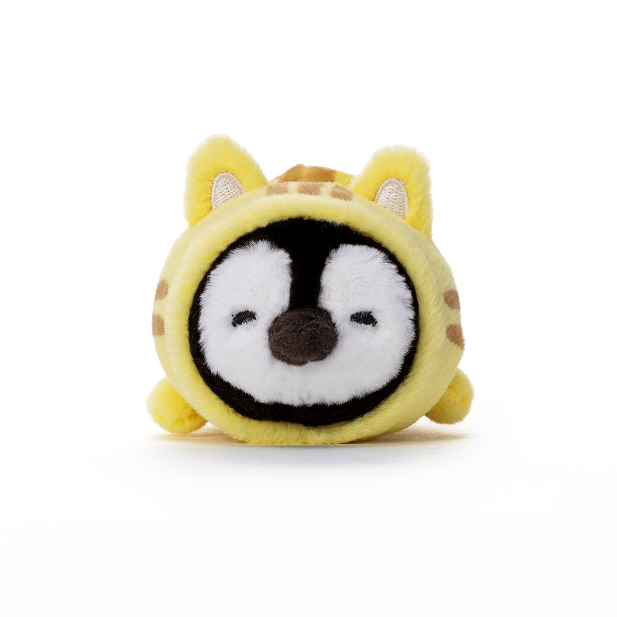 ねこぺん日和 | 特集 | LINE FRIENDS 公式オンラインストア
