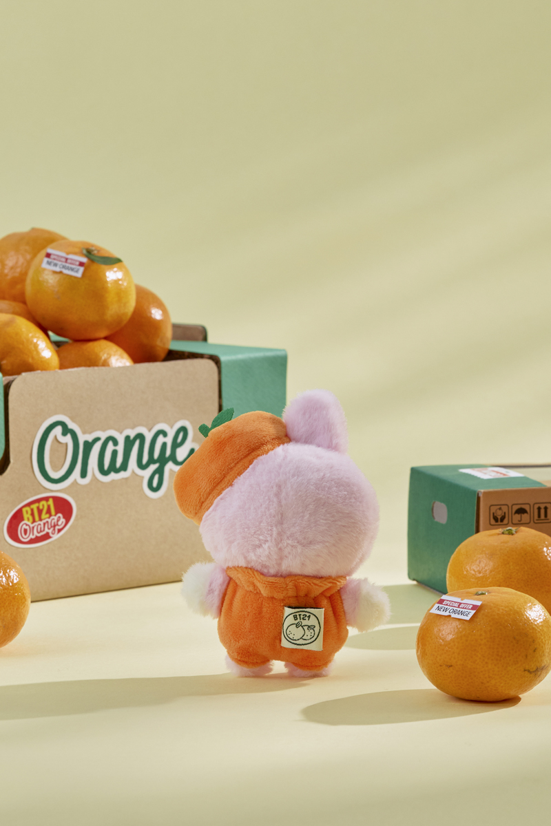 SKY SHOPPING ぬいぐるみ COOKY BT21 お一人さま1点限り